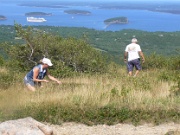 161-more blueberries